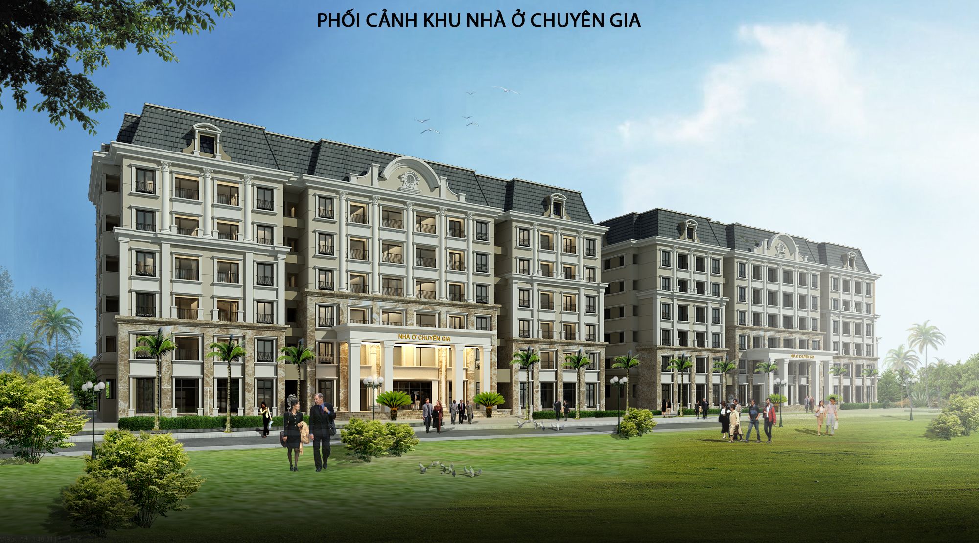 NHÀ Ở CHUYÊN GIA